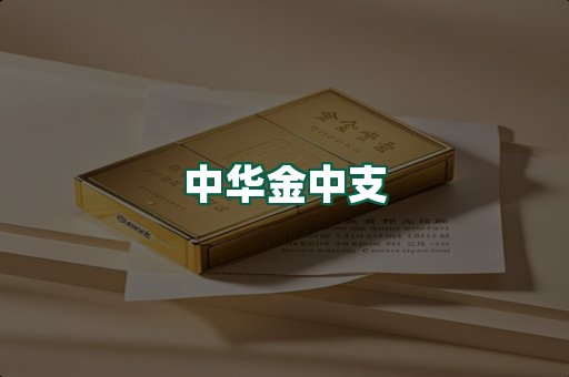 中华金中支
